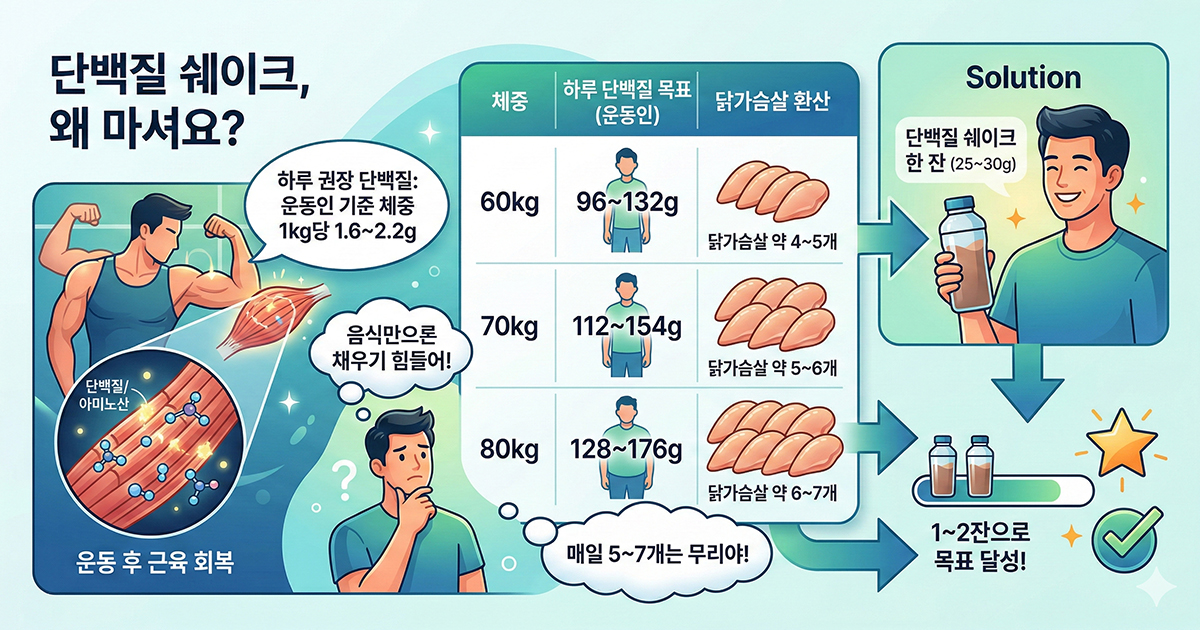 단백질 쉐이크 입문서: 종류·레시피·추천